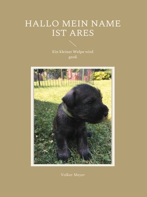 cover image of Hallo mein Name ist Ares